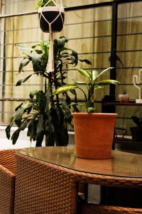 New Mex Inspired Bo-Ho Chic Apartment With Private Patio And Roof Terrace Mexico By Eksteriør billede
