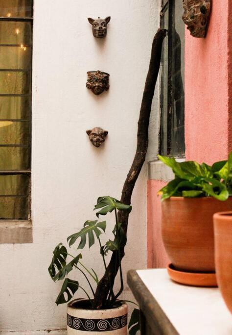 New Mex Inspired Bo-Ho Chic Apartment With Private Patio And Roof Terrace Mexico By Eksteriør billede